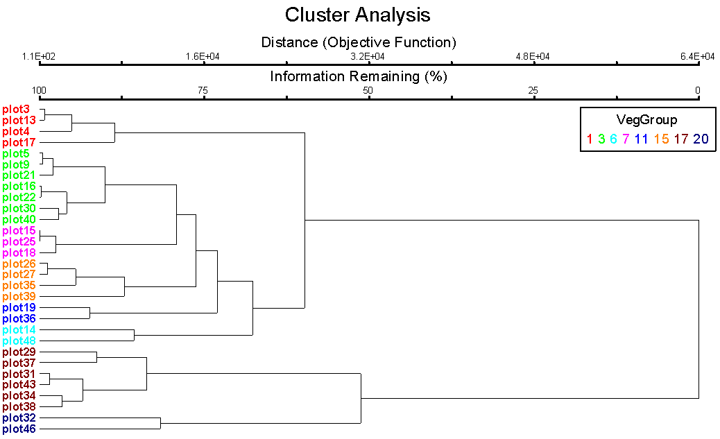 Clluster Analysis